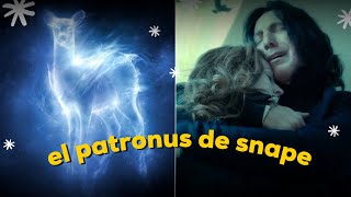 ¿Por qué el patronus de Snape es el mismo que el de Lily? | Porexpan