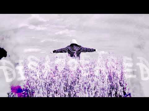 Deiz-(Des)apareceré