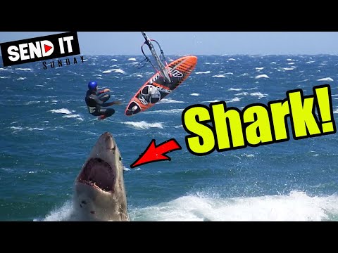 Things to look out for on the water - Part 2!! -  #141 - Send it Sunday