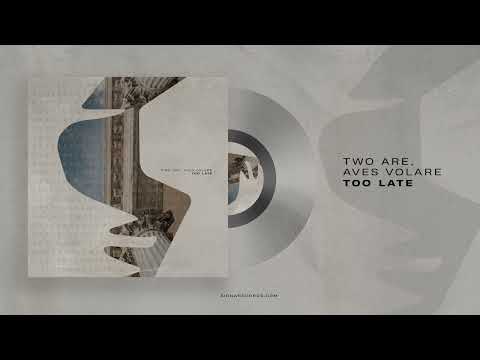 Two Are, Aves Volare - Too Late (Original Mix)
