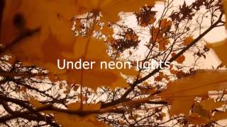 Tenenbaum - The Paper Kites (lyrics)