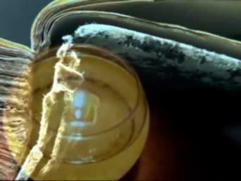 Belle Lawrence - Hallelujah