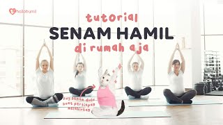 Download lagu SENAM HAMIL TERLENGKAP! Trimester 3 | Hallobumil mp3