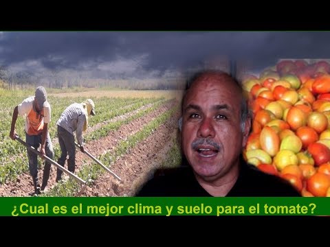 , title : 'Clima, suelos y variedades para el cultivo del tomate'