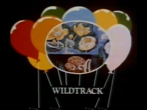 Wednesday 17th June 1981 BBC1 - John Craven’s Newsround - Wildtrack