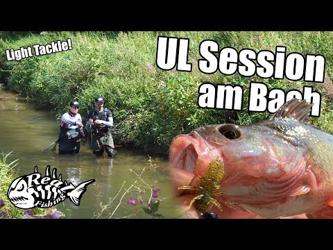 UL Session am BACH // Ultra Light Angeln auf Forelle, Döbel & Co.