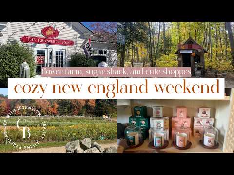 Cozy weekend of thrifting + exploring Plymouth, MA 🌊