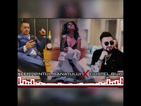 Dani prințu banatului ❌️ Costel biju 💥 tatuata 💥 Ultra Remix 