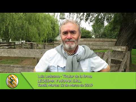 12-03-19 - Luis Ledesma -Titular - Ledesma y Arana S.R.L. - Tandil