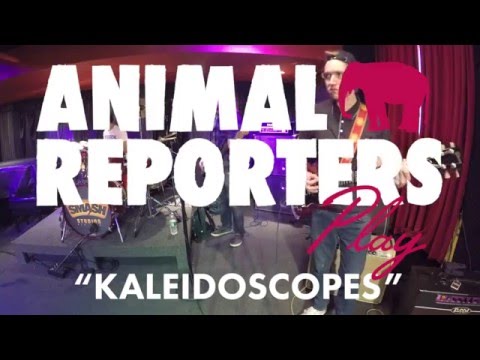 Animal Reporters - Kaleidoscopes - 4K Video