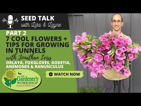 Seed Talk #54 - 7 Cool Flowers Plus Tips for Growing in Tunnels, Part 2 - with Jonathan Leiss