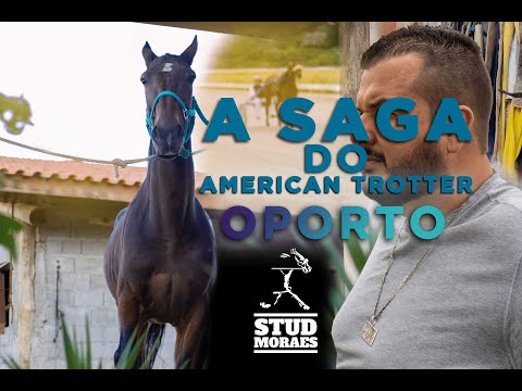 , title : 'A SAGA DO AMERICAN TROTTER - OPORTO | Ep01'