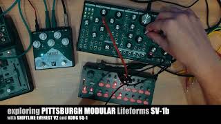 Video thumbnail for Exploring sound of Pittsburgh Modular Lifeforms SV-1b sequenced by SQ-1 and moistened by Everest II. by ARRA DEER