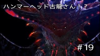 モンハンワールドアイスボーン　MHWIB 　#19　ネロミェール推参！　モンスターハンターワールド