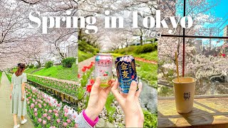 Sping in Tokyo 🌸 | Naka-meguro cherry blossom festival, hanami, spring cafe hopping |Tokyo Vlog