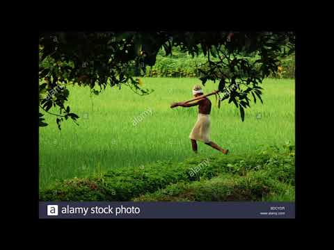 download lagu mp3 mp4 Vayalum Veedum Radio Music, download lagu Vayalum Veedum Radio Music gratis, unduh video klip Vayalum Veedum Radio Music