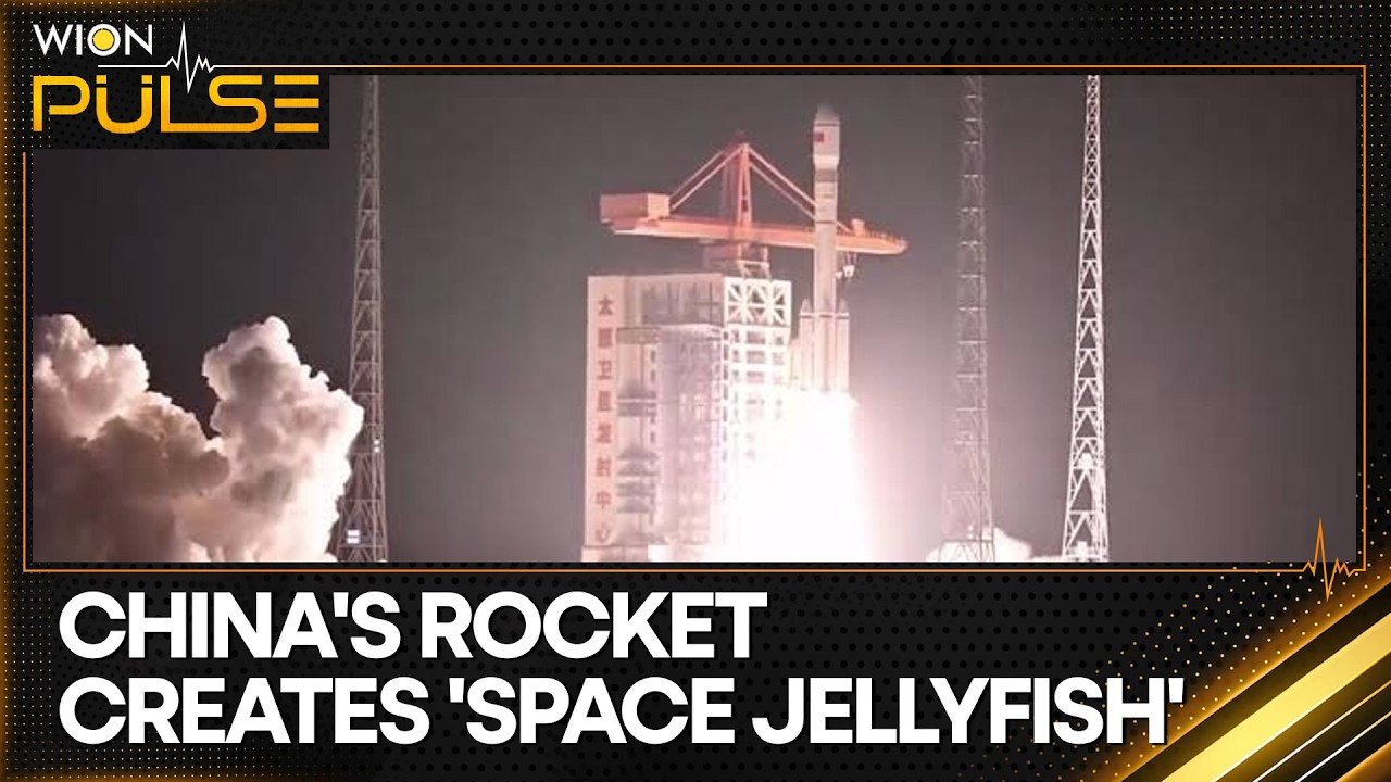 Long March-6A Successfully Deploys Yaogan-50 03 Satellite | WION Pulse