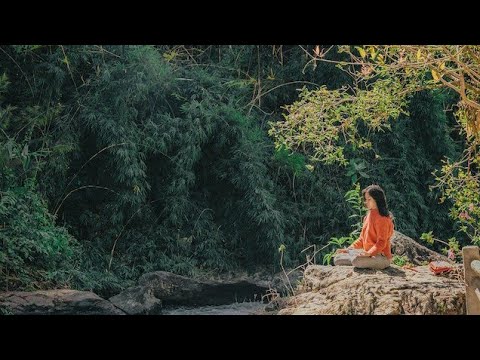 Lovely flowers garden WhatsApp status short video Shameem cute video