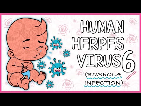 Human Herpes Virus 6 (Roseola infantum): All you need to know