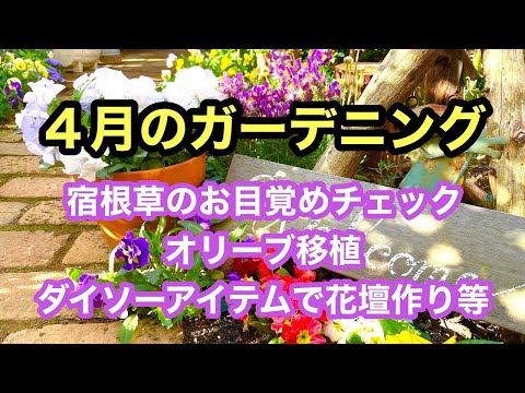 冬に庭で馬糞を使用するにはどうすればよいですか？利点、アドバイス、使用方法  庭園
