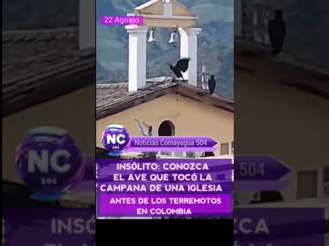 Un curioso hecho sorprendió a los pobladores de Convención, Norte de Santander, al notar que