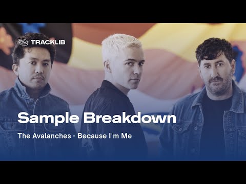 Sample Breakdown: The Avalanches ft. Camp Lo - Because I'm Me