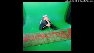 Pollari - Lil Tanner (p. Red Drum &amp; Pregame)