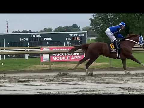 Milton The Monster wins impressively with jockey Frankie Pennington