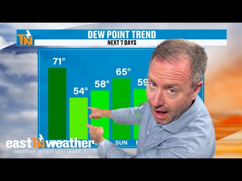 Noon - Thursday, June 6, 2024