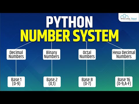 What is Python Why Python is So Popular Python Tutorial for Beginners