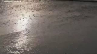 Stacey Kent - They Say It's Wonderful