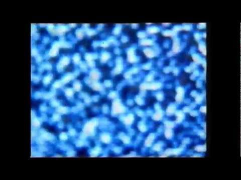 Gutless Feeling video