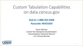 Custom Tabulation Capabilities on data.census.gov
