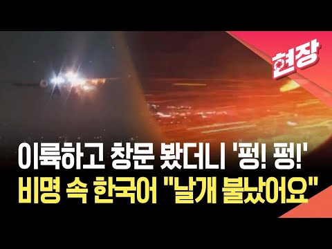 델타항공, 이륙 직후 '엔진 화재' 긴급 회항… &#034;날개에 불났어요&#034; 기내…