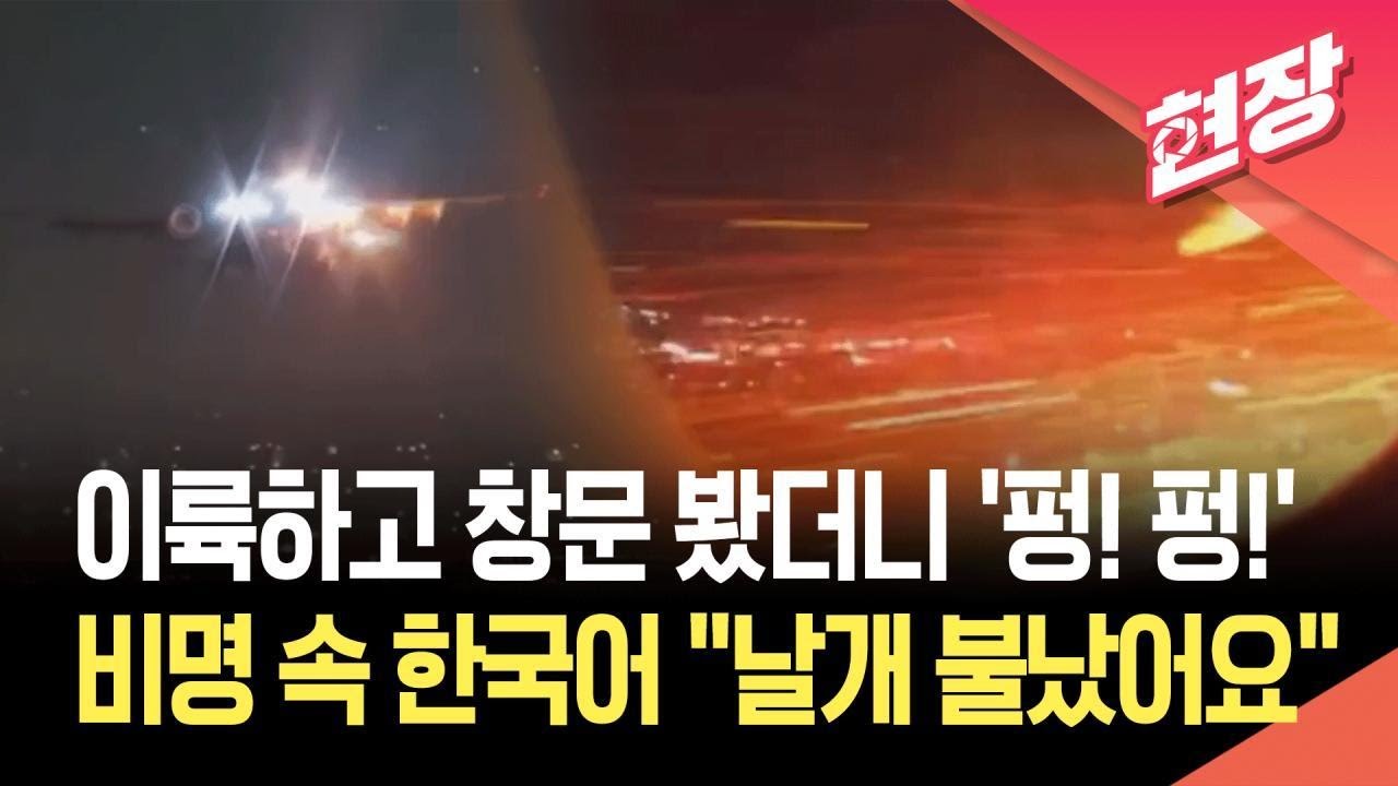 [뉴스/정치 인기영상] [현장영상] 델타항공 여객기 엔…