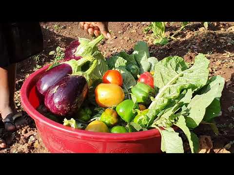 Help us find local families for abandoned children