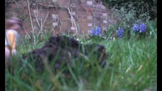 Stornoway - I Saw You Blink (Official Response Video)