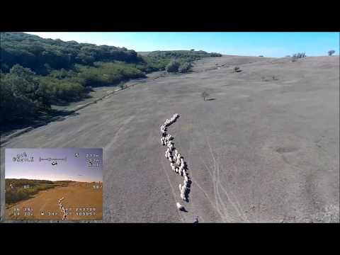 Visit to MÂRZEȘTI forest TBS2 long run