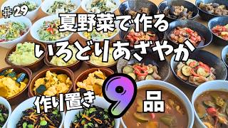 夏野菜いろどりあざやか！簡単・時短ごちそうおかず【作り置き9品】｜毎日のごはん作りをラクに🔍(#29)
