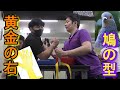 【腕相撲・アームレスリング】黄金の右腕を持つSランカーとスパルタ練習!!