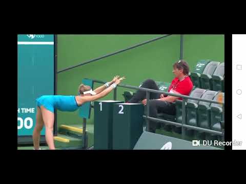 Dayana Yastremska - men of culture we meet again