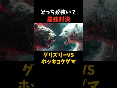 ハイイログマのカップル