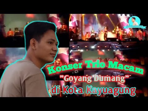 Konser Trio Macan - Goyang Dumang di Kayuagung
