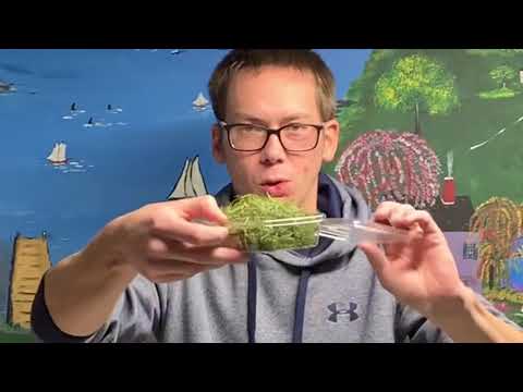 download lagu mp3 mp4 Fennel Cress, download lagu Fennel Cress gratis, unduh video klip Fennel Cress