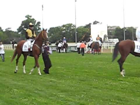 89. Magyar Derby (2011.07.03.) - felvonulás