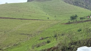 Download lagu Beqa amagquma namathafa beyothwala emazweni beshiye izindlela ezilula futhi ezingenabungozi mp3 Download lagu Beqa amagquma namathafa beyothwala emazweni beshiye izindlela ezilula futhi ezingenabungozi mp3