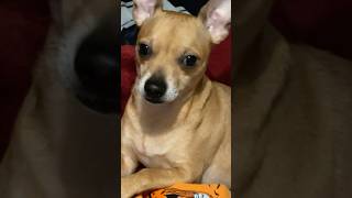 Download lagu Baby 🐾 pawpaw mp3 Download lagu Baby 🐾 pawpaw mp3