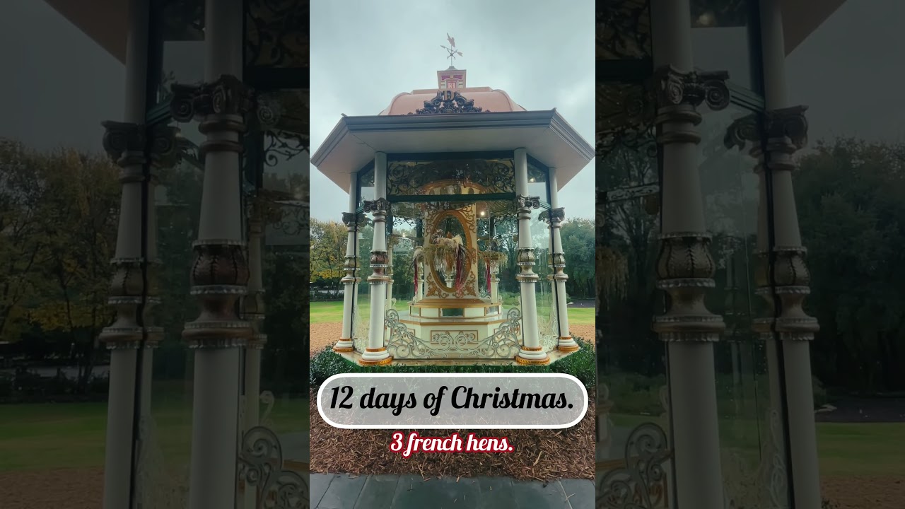 3 french hens. #12daysofchristmas