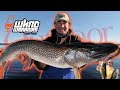 Video Thumbnail for Gord Pyzer Q & A (PART 2)