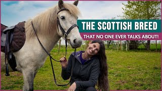 Riding the Eriskay Pony in Scotland!